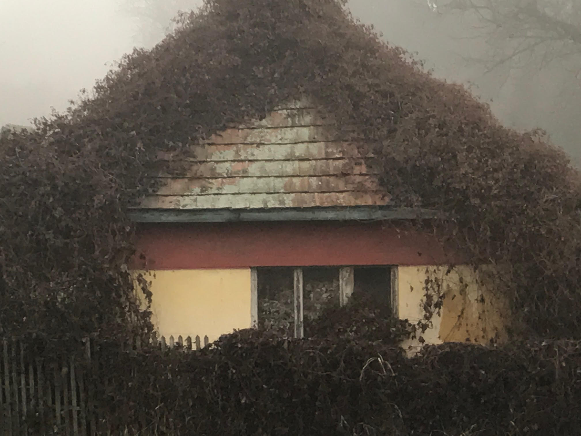 apokhalojaban
