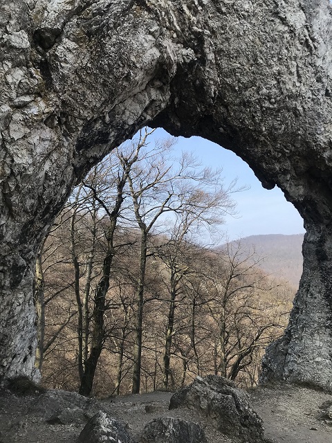 avaskapu