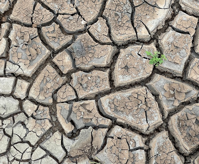 radhey khandelwal pPKlQL4D9Uk unsplash